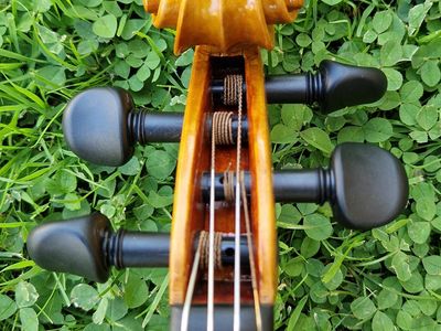 Lak: Finálny dotyk pre krásu, ochranu a dokonalý tón