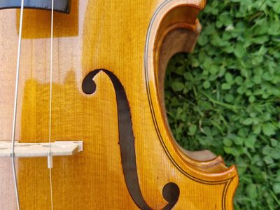 Lak: Finálny dotyk pre krásu, ochranu a dokonalý tón