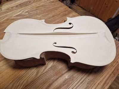 Keď drevo začne spievať: Príbeh zrodenia majstrovských huslí