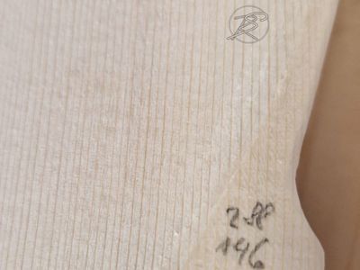 Keď drevo začne spievať: Príbeh zrodenia majstrovských huslí