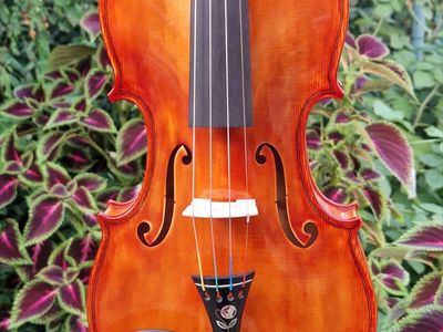 Keď drevo začne spievať: Príbeh zrodenia majstrovských huslí