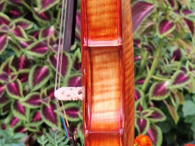 Keď drevo začne spievať: Príbeh zrodenia majstrovských huslí