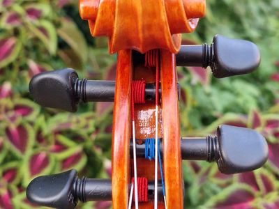 Keď drevo začne spievať: Príbeh zrodenia majstrovských huslí