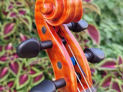 Keď drevo začne spievať: Príbeh zrodenia majstrovských huslí