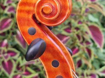 Keď drevo začne spievať: Príbeh zrodenia majstrovských huslí