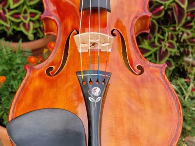 Keď drevo začne spievať: Príbeh zrodenia majstrovských huslí