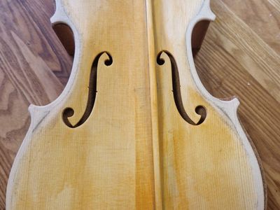 Keď drevo začne spievať: Príbeh zrodenia majstrovských huslí