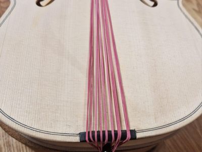 Keď drevo začne spievať: Príbeh zrodenia majstrovských huslí