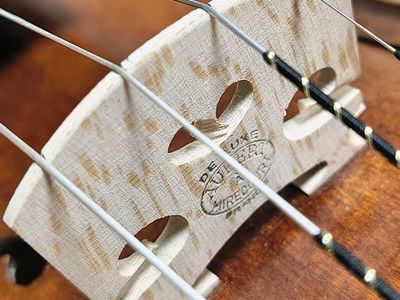 Srdce zvuku: Ako vyberám tú správnu kobylku pre Tvoje husle