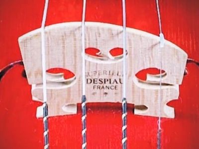 Srdce zvuku: Ako vyberám tú správnu kobylku pre Tvoje husle