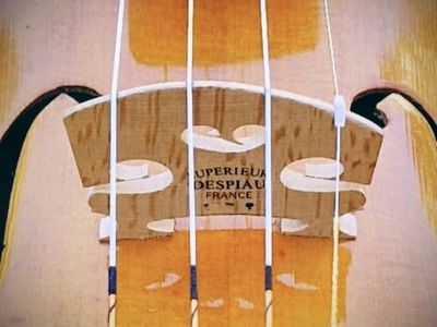 Srdce zvuku: Ako vyberám tú správnu kobylku pre Tvoje husle