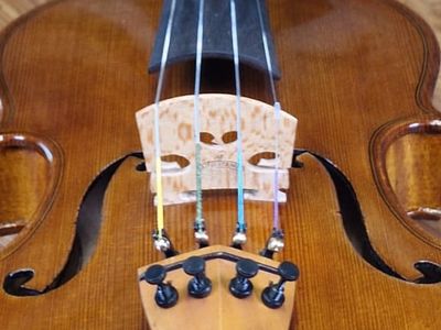 Srdce zvuku: Ako vyberám tú správnu kobylku pre Tvoje husle