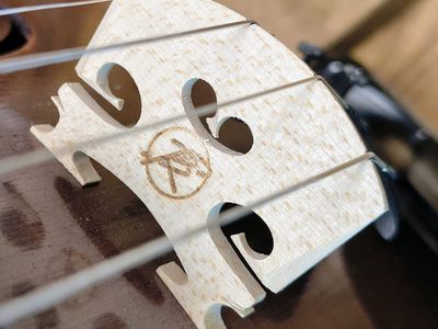 Srdce zvuku: Ako vyberám tú správnu kobylku pre Tvoje husle