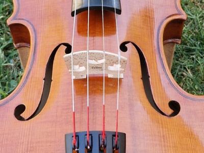 Srdce zvuku: Ako vyberám tú správnu kobylku pre Tvoje husle