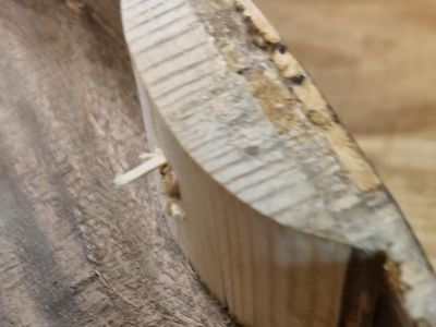 Opravy a reštaurovanie