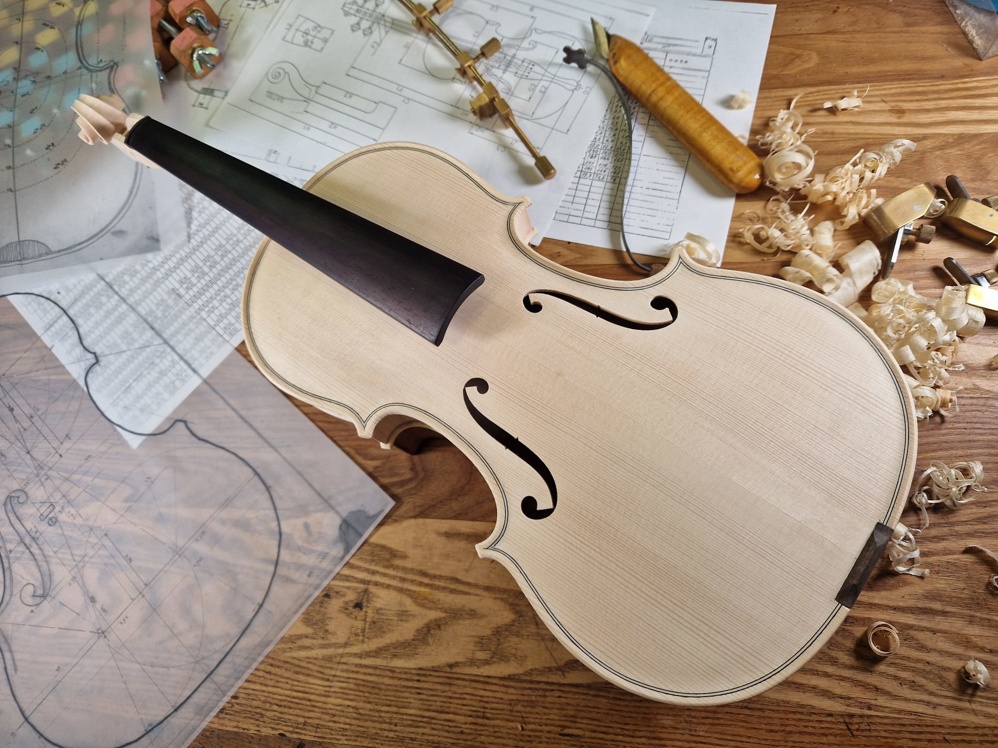 Keď drevo začne spievať: Príbeh zrodenia majstrovských huslí