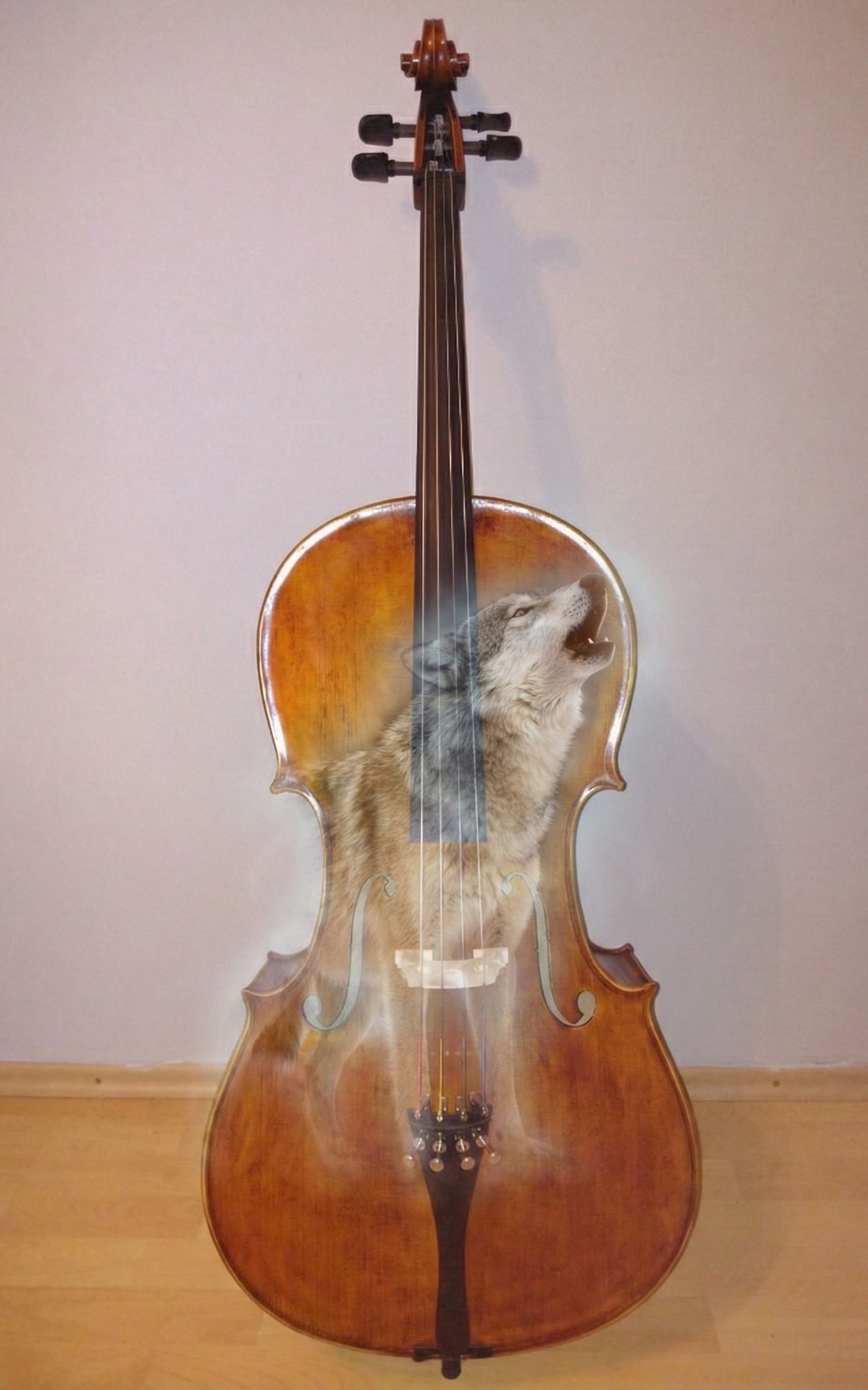 "Vlk" na violončele a viole: Prečo vzniká a ako ho skrotiť