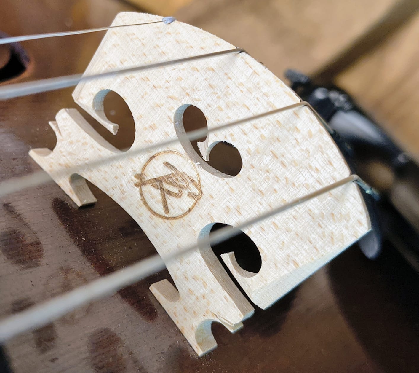 Srdce zvuku: Ako vyberám tú správnu kobylku pre Tvoje husle